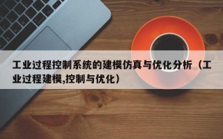 工业过程控制系统的建模仿真与优化分析（工业过程建模,控制与优化）