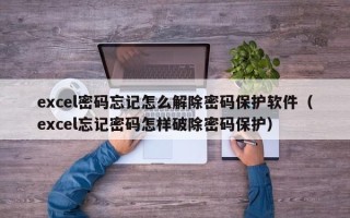 excel密码忘记怎么解除密码保护软件（excel忘记密码怎样破除密码保护）