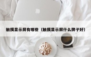 触摸显示屏有哪些（触摸显示屏什么牌子好）
