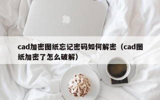 cad加密图纸忘记密码如何解密（cad图纸加密了怎么破解）