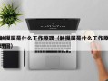 触摸屏是什么工作原理（触摸屏是什么工作原理图）