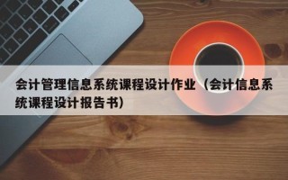 会计管理信息系统课程设计作业（会计信息系统课程设计报告书）