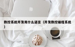 数控系统开发用什么语言（开发数控编程系统）