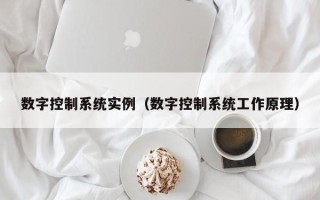 数字控制系统实例（数字控制系统工作原理）