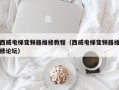 西威电梯变频器维修教程（西威电梯变频器维修论坛）