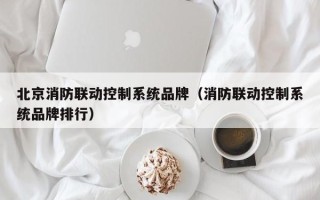 北京消防联动控制系统品牌（消防联动控制系统品牌排行）
