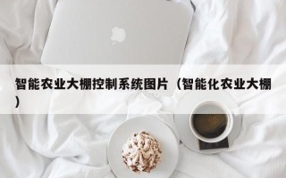 智能农业大棚控制系统图片（智能化农业大棚）
