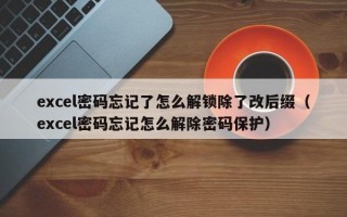 excel密码忘记了怎么解锁除了改后缀（excel密码忘记怎么解除密码保护）