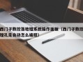 西门子数控落地镗系统操作面板（西门子数控镗孔走自动怎么编程）