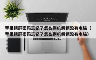 苹果锁屏密码忘记了怎么刷机解锁没有电脑（苹果锁屏密码忘记了怎么刷机解锁没有电脑）