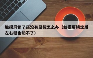 触摸屏锁了还没有鼠标怎么办（触摸屏锁定后左右键也动不了）