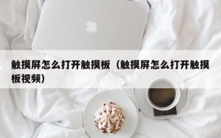 触摸屏怎么打开触摸板（触摸屏怎么打开触摸板视频）