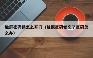 触屏密码锁怎么开门（触摸密码锁忘了密码怎么办）