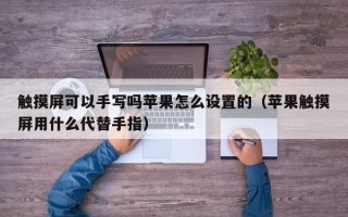 触摸屏可以手写吗苹果怎么设置的（苹果触摸屏用什么代替手指）