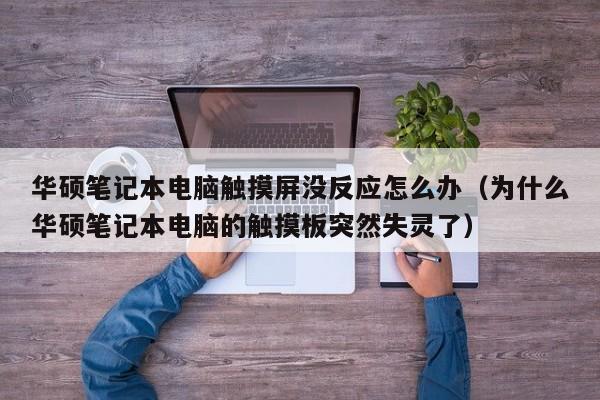 华硕笔记本电脑触摸屏没反应怎么办（为什么华硕笔记本电脑的触摸板突然失灵了）-第1张图片-晋江速捷自动化科技有限公司