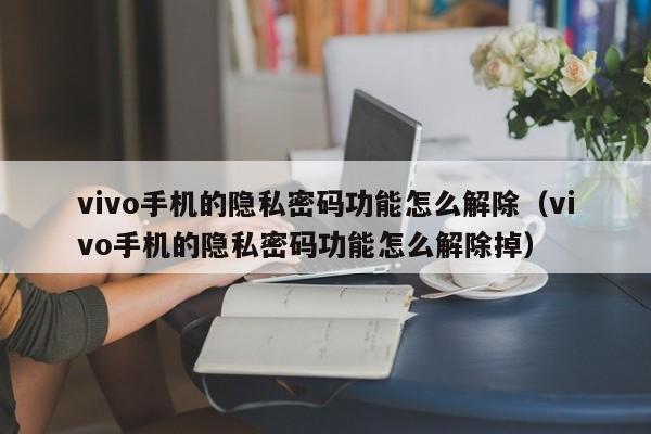 vivo手机的隐私密码功能怎么解除（vivo手机的隐私密码功能怎么解除掉）-第1张图片-晋江速捷自动化科技有限公司