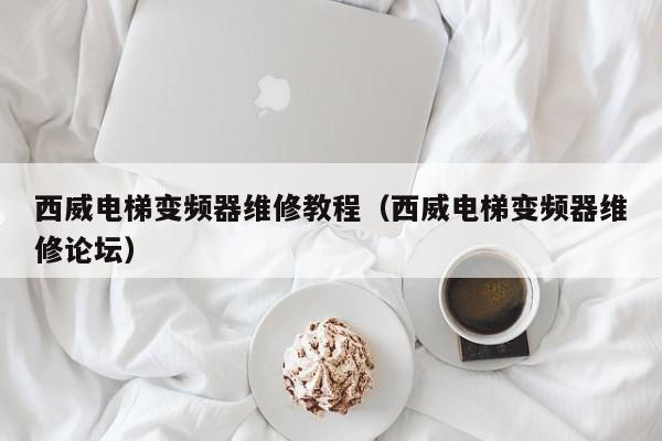 西威电梯变频器维修教程（西威电梯变频器维修论坛）-第1张图片-晋江速捷自动化科技有限公司