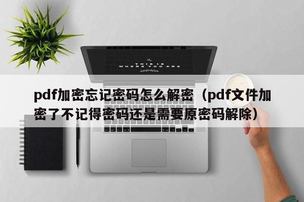 pdf加密忘记密码怎么解密（pdf文件加密了不记得密码还是需要原密码解除）-第1张图片-晋江速捷自动化科技有限公司