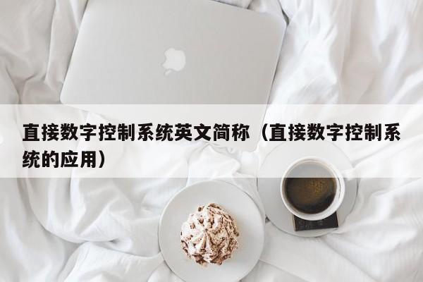 直接数字控制系统英文简称（直接数字控制系统的应用）-第1张图片-晋江速捷自动化科技有限公司