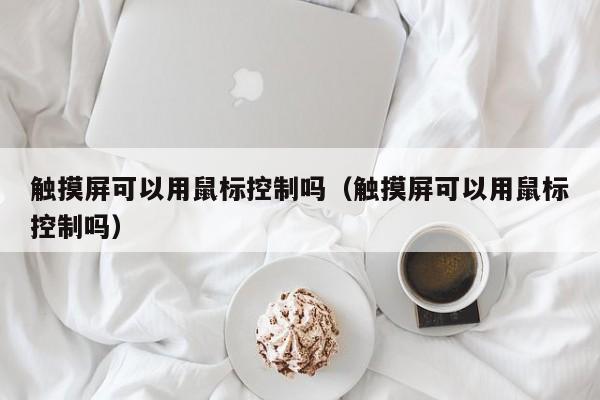 触摸屏可以用鼠标控制吗（触摸屏可以用鼠标控制吗）-第1张图片-晋江速捷自动化科技有限公司