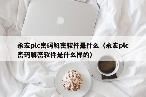 永宏plc密码解密软件是什么（永宏plc密码解密软件是什么样的）-第1张图片-晋江速捷自动化科技有限公司