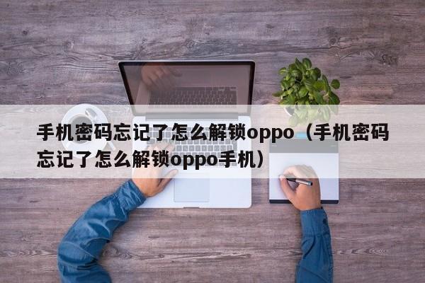 手机密码忘记了怎么解锁oppo（手机密码忘记了怎么解锁oppo手机）-第1张图片-晋江速捷自动化科技有限公司