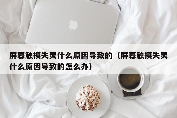 屏幕触摸失灵什么原因导致的（屏幕触摸失灵什么原因导致的怎么办）-第1张图片-晋江速捷自动化科技有限公司
