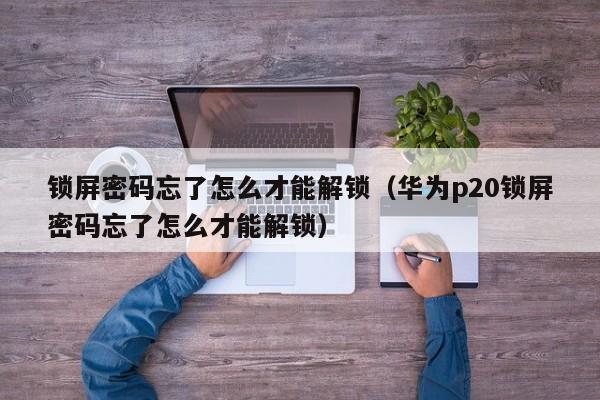 锁屏密码忘了怎么才能解锁（华为p20锁屏密码忘了怎么才能解锁）-第1张图片-晋江速捷自动化科技有限公司