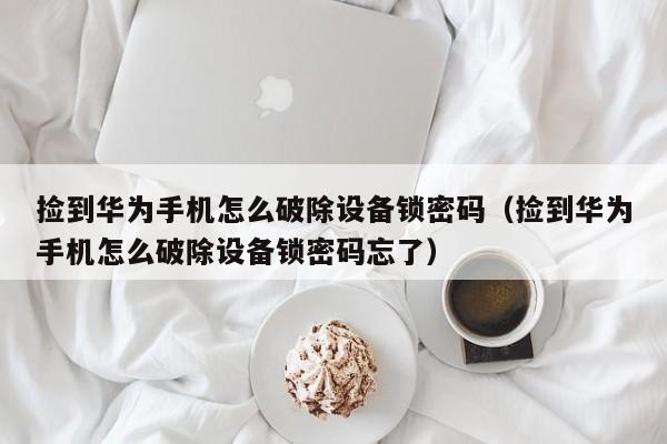 捡到华为手机怎么破除设备锁密码（捡到华为手机怎么破除设备锁密码忘了）-第1张图片-晋江速捷自动化科技有限公司