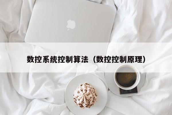 数控系统控制算法（数控控制原理）-第1张图片-晋江速捷自动化科技有限公司
