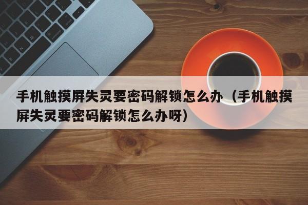 手机触摸屏失灵要密码解锁怎么办（手机触摸屏失灵要密码解锁怎么办呀）-第1张图片-晋江速捷自动化科技有限公司