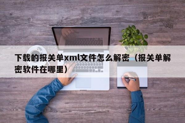 下载的报关单xml文件怎么解密（报关单解密软件在哪里）-第1张图片-晋江速捷自动化科技有限公司