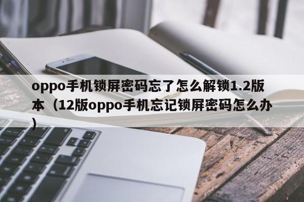 oppo手机锁屏密码忘了怎么解锁1.2版本（12版oppo手机忘记锁屏密码怎么办）-第1张图片-晋江速捷自动化科技有限公司