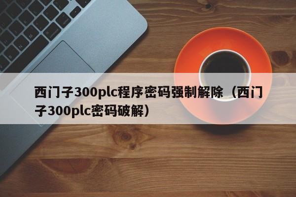 西门子300plc程序密码强制解除（西门子300plc密码破解）-第1张图片-晋江速捷自动化科技有限公司