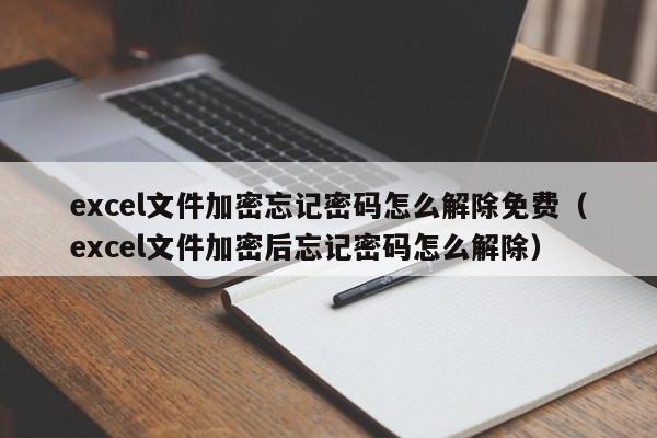 excel文件加密忘记密码怎么解除免费（excel文件加密后忘记密码怎么解除）-第1张图片-晋江速捷自动化科技有限公司
