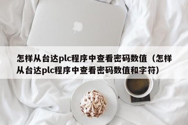 怎样从台达plc程序中查看密码数值（怎样从台达plc程序中查看密码数值和字符）-第1张图片-晋江速捷自动化科技有限公司