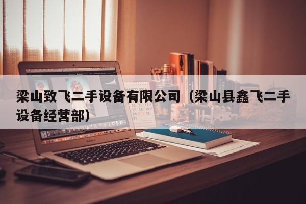 梁山致飞二手设备有限公司（梁山县鑫飞二手设备经营部）-第1张图片-晋江速捷自动化科技有限公司