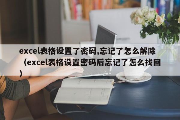 excel表格设置了密码,忘记了怎么解除（excel表格设置密码后忘记了怎么找回）-第1张图片-晋江速捷自动化科技有限公司