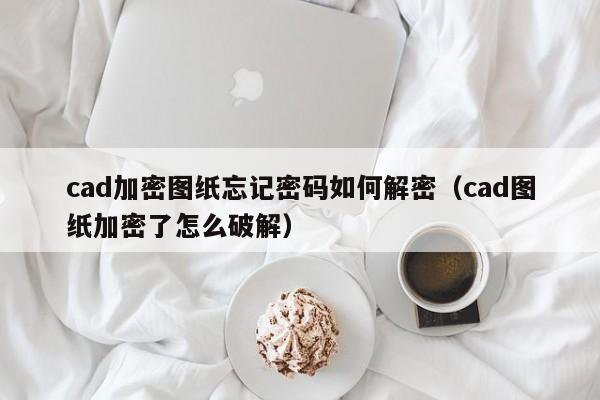 cad加密图纸忘记密码如何解密（cad图纸加密了怎么破解）-第1张图片-晋江速捷自动化科技有限公司