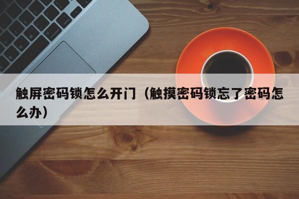 触屏密码锁怎么开门（触摸密码锁忘了密码怎么办）-第1张图片-晋江速捷自动化科技有限公司