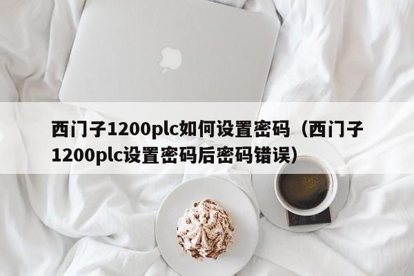 西门子1200plc如何设置密码（西门子1200plc设置密码后密码错误）-第1张图片-晋江速捷自动化科技有限公司