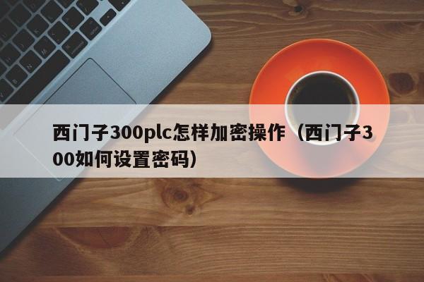 西门子300plc怎样加密操作（西门子300如何设置密码）-第1张图片-晋江速捷自动化科技有限公司