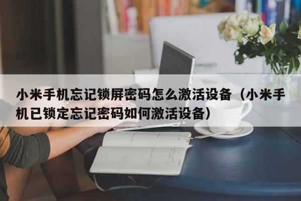 小米手机忘记锁屏密码怎么激活设备（小米手机已锁定忘记密码如何激活设备）-第1张图片-晋江速捷自动化科技有限公司