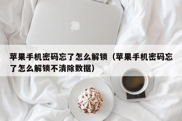苹果手机密码忘了怎么解锁（苹果手机密码忘了怎么解锁不清除数据）-第1张图片-晋江速捷自动化科技有限公司
