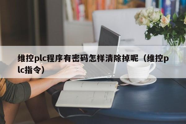 维控plc程序有密码怎样清除掉呢（维控plc指令）-第1张图片-晋江速捷自动化科技有限公司