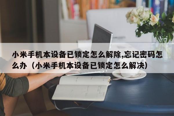 小米手机本设备已锁定怎么解除,忘记密码怎么办（小米手机本设备已锁定怎么解决）-第1张图片-晋江速捷自动化科技有限公司