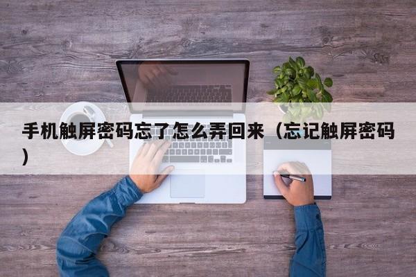 手机触屏密码忘了怎么弄回来（忘记触屏密码）-第1张图片-晋江速捷自动化科技有限公司