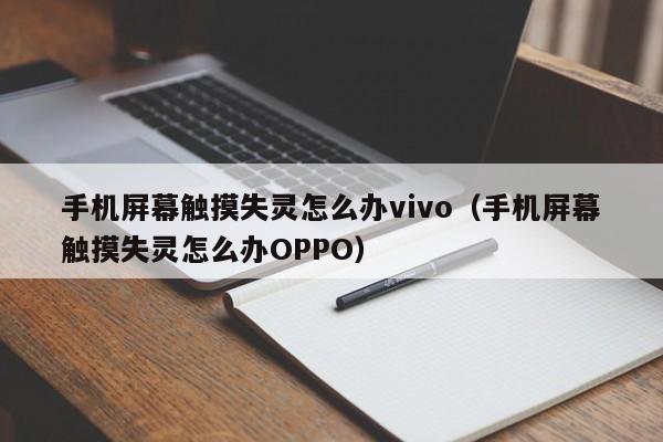 手机屏幕触摸失灵怎么办vivo（手机屏幕触摸失灵怎么办OPPO）-第1张图片-晋江速捷自动化科技有限公司