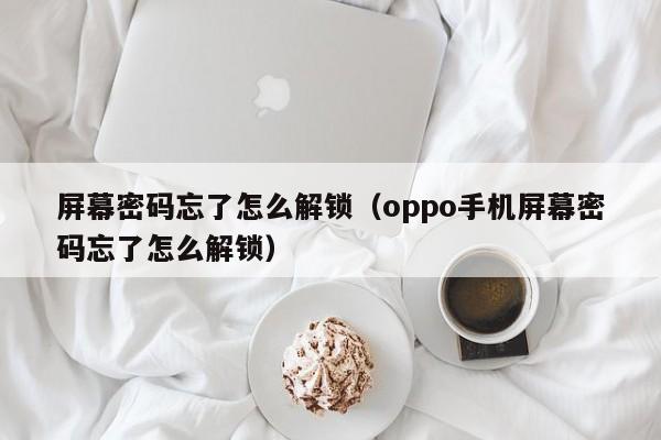 屏幕密码忘了怎么解锁（oppo手机屏幕密码忘了怎么解锁）-第1张图片-晋江速捷自动化科技有限公司