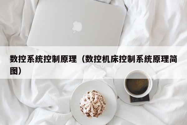 数控系统控制原理（数控机床控制系统原理简图）-第1张图片-晋江速捷自动化科技有限公司